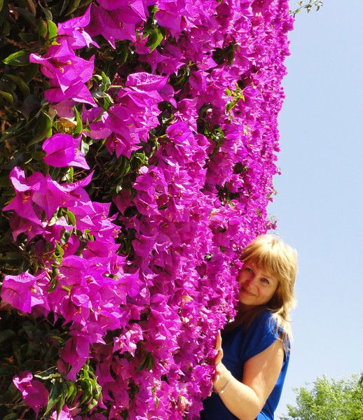 Людмила Сафарова