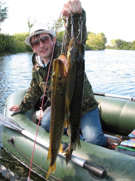 Антон Бабский