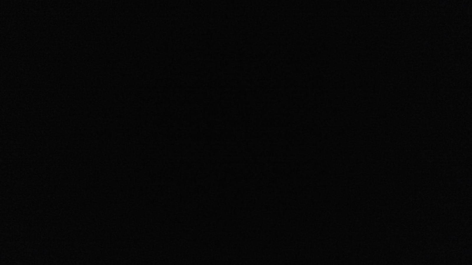 Александо Палов