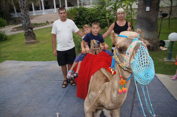 Юлия Апполонова