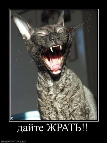 Павел Кожемякин