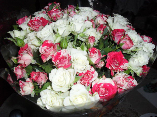 Татьяна Никифорова