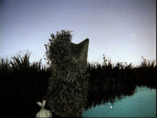 Татьяна Андрианова