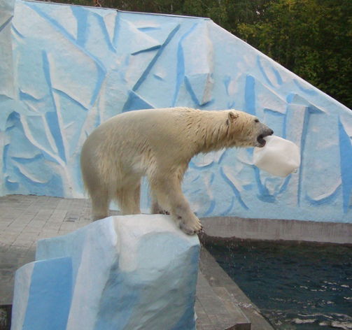 Татьяна Цыбина