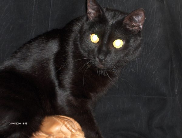 Евгений Суржиков