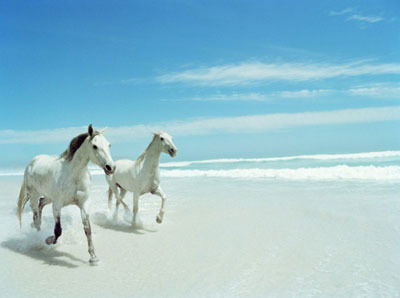 Айгуль Хасенова