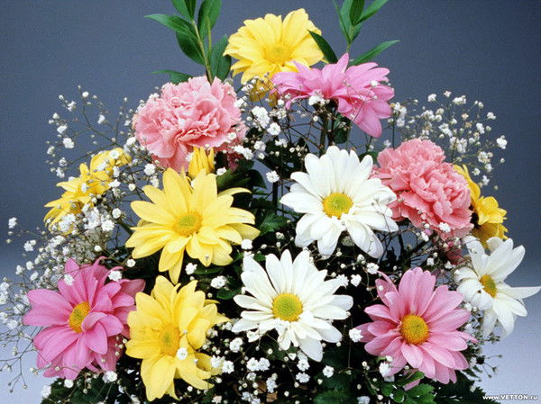 Набат Жумажанкызы