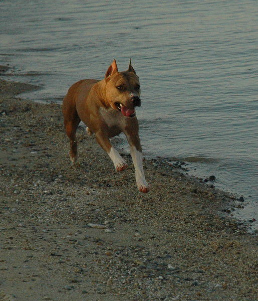 Андрей Сербин