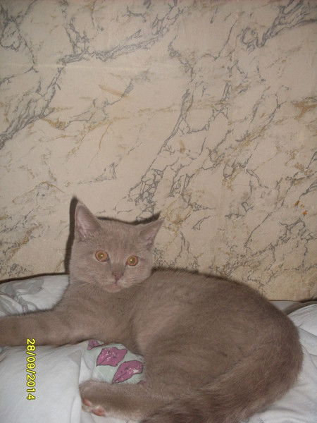 Ирина Лапина (Коршунова)