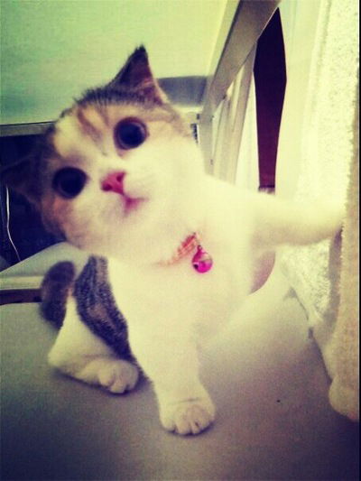 Кристина Им