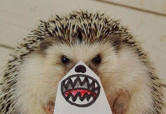 Денис Мироненко