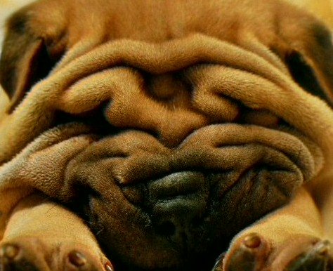 Гульнара Сагынбаева