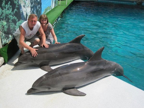 Петр Макаревич