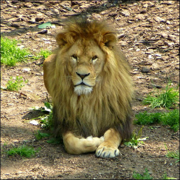 Сергей Кулябин