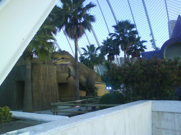 Рома Трахтунберг