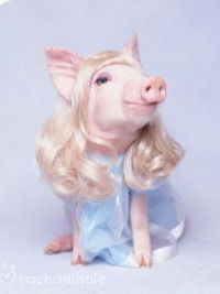 Мадам Грицацуева