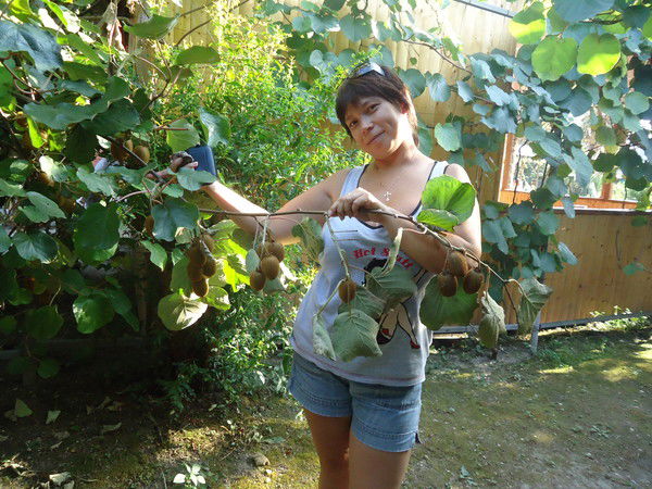 Наталья Потехина