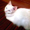 Дмитрий Орлов