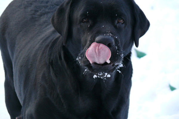 Александр Skachkov