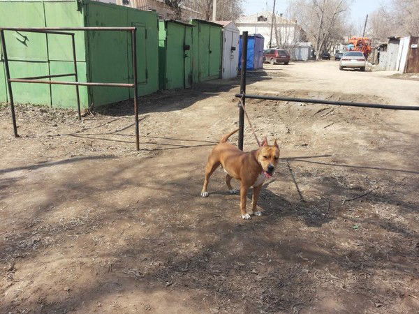 Саня Михалев