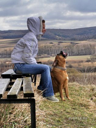 Елена Некрасова