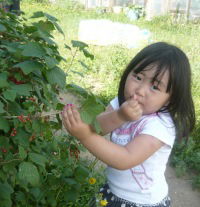 Анастасия Татаринова