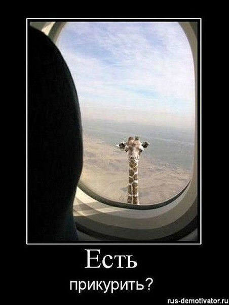 Евгений Никифоров