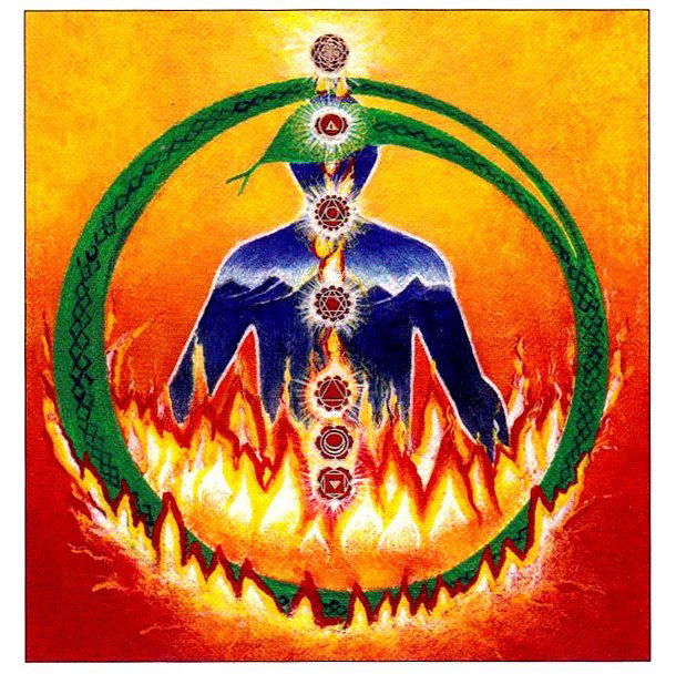 Дмитрий Зайцев