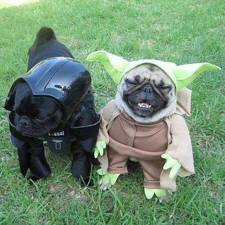 Егор Будюкин