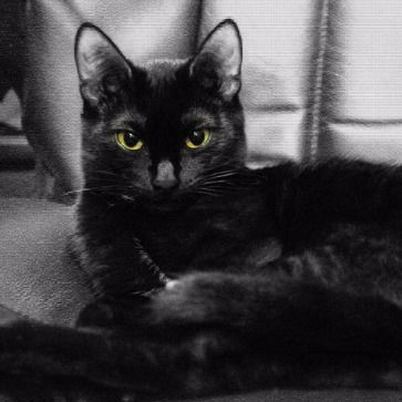 Арина Огородова