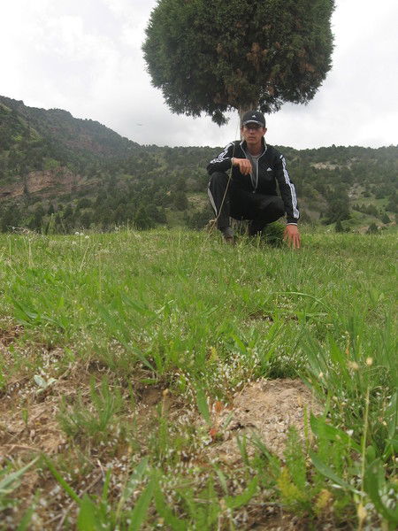 Мансур Кадиров