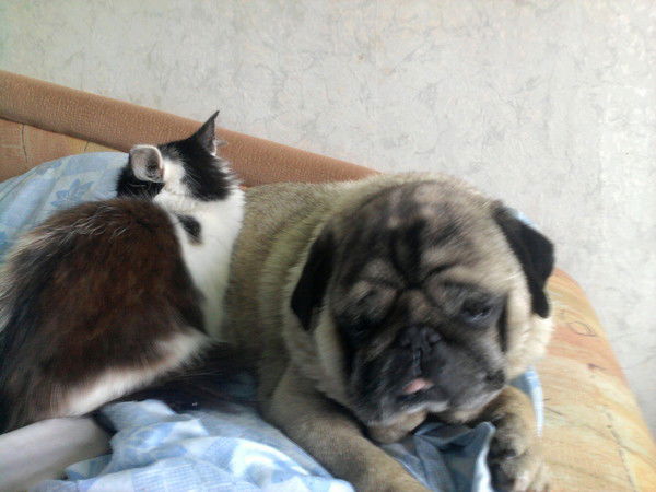 Наталья Лузина