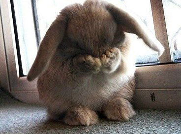 Елена Вдовина