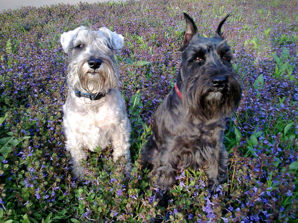 Марина Марина