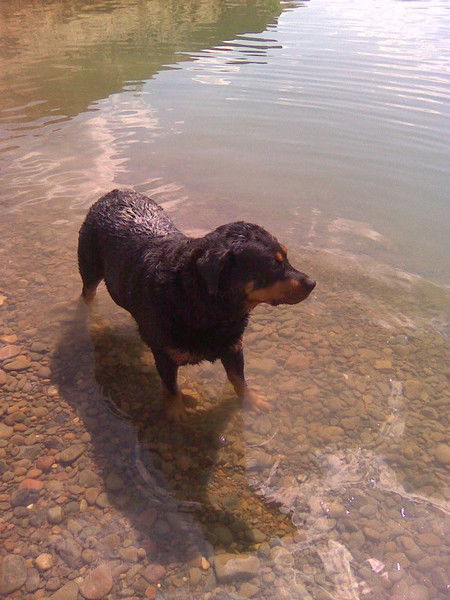 Надежда Чикунова