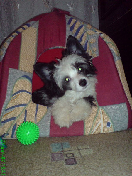 Руслан Эксанов