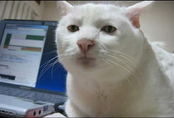 Стас Чернов