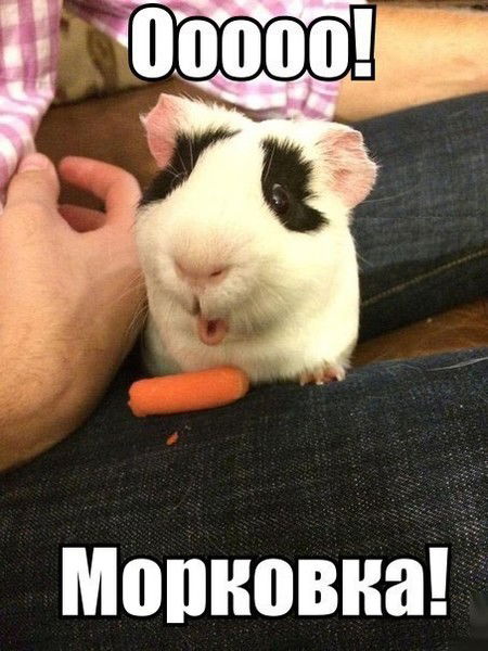 Виктор Где-То-Так