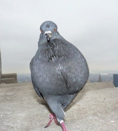 Margarita Skorobogatova