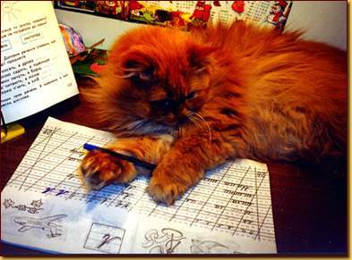 Ирина Степанова