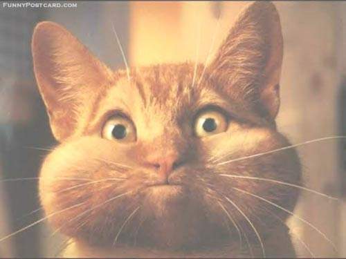 Алексей Пеньков