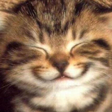 Фатима Кудзагова