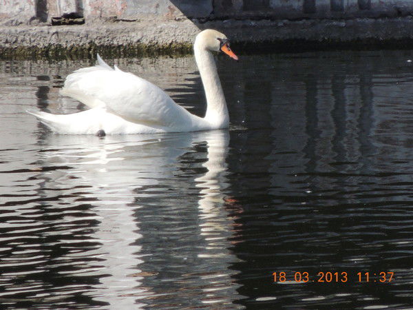 Екатерина Кононова