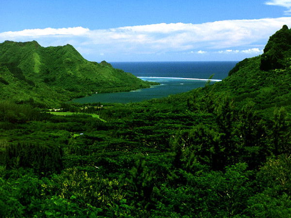 Гаухар Досымова