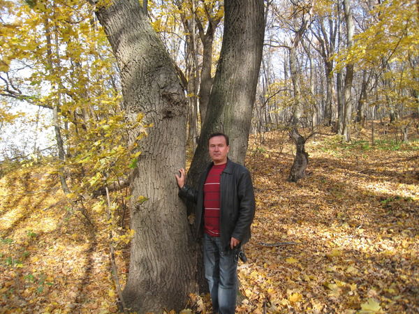 Владимир Языванов