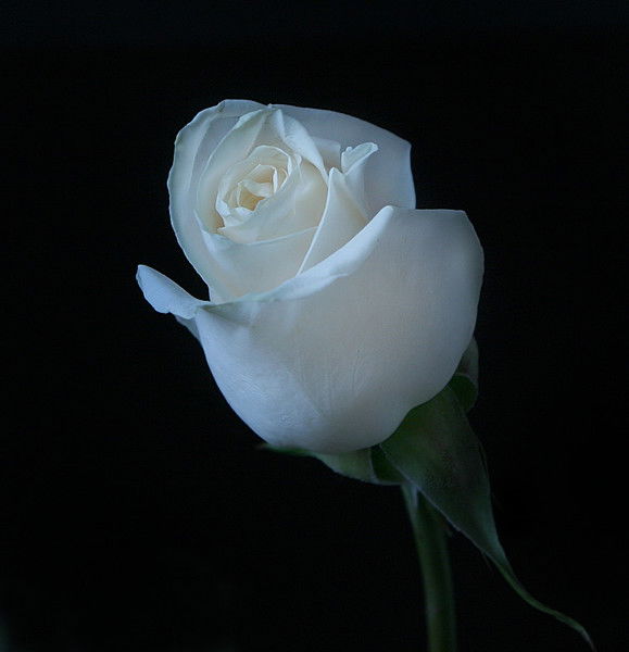 Begymai Kurmanalieva