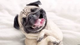 Арсен Аваков