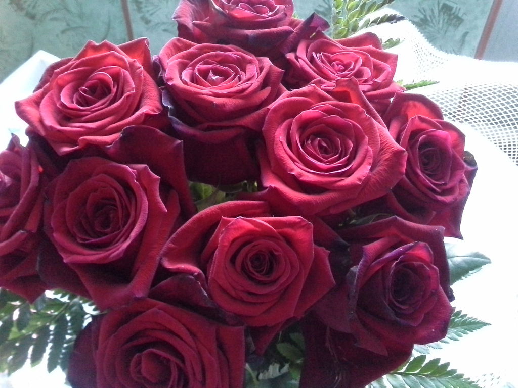 Вася Иванов