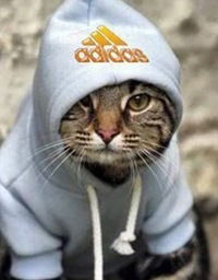 Алексей Кичкин