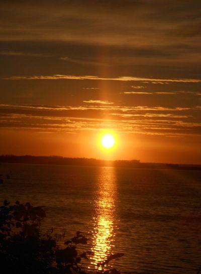 Розалия Шафигуллина